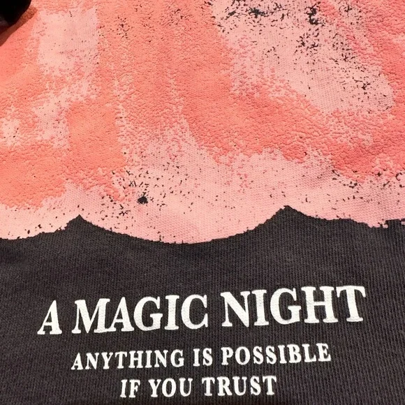 Zara Toddler Long Sleeved Top 3-4 T - Picture 3 of 4